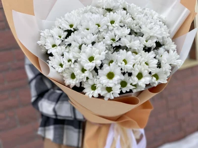 Монобукет из ромашковой хризантемы «поле»