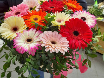 Герберы в шляпной коробке «летний микс»