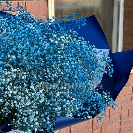 Монобукет из гипсофилы &laquo;морская волна&raquo;