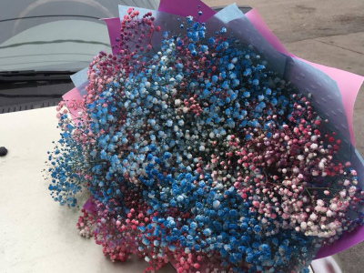 Монобукет из гипсофилы «радужное сияние»