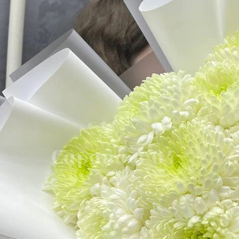 Букет хризантем &laquo;Магнум&raquo;