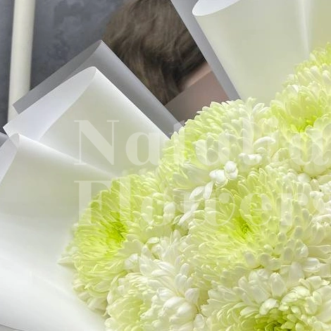 Букет хризантем &laquo;Магнум&raquo;