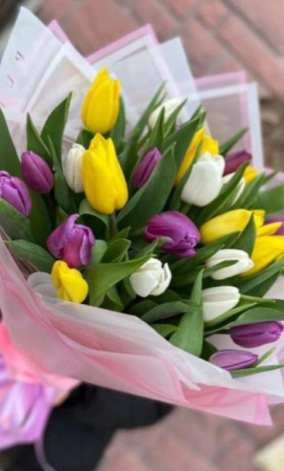 35 тюльпанов МИКС 