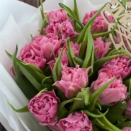 Букет 19 пионовидных розовых тюльпанов 1