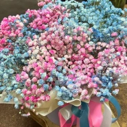 Коробочка с гипсофилами разноцветными 1