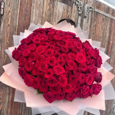 101 красная роза