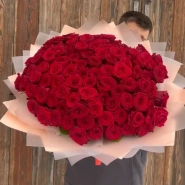 101 красная роза 1