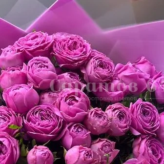 Букет 19 веток пионовидных кустовых роз