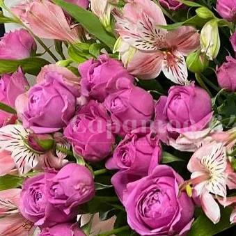 Большая композиция в шляпной коробке с пионовидными розами и альстромерией 