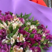 Букет 51 альстромерия микс 1