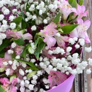 Букет 7 розовых альстромерий и гипсофила 1