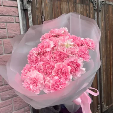 Букет 19 розовых диантусов
