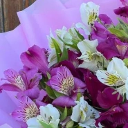 Букет из 7 альстромерий  1