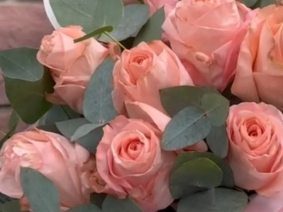 11 коралловых роз с эвкалиптом в сумочке