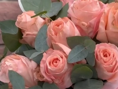 11 коралловых роз с эвкалиптом в сумочке