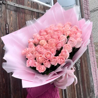 51 нежно-розовая роза